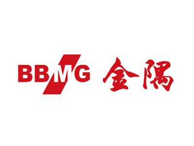 bbmg2009